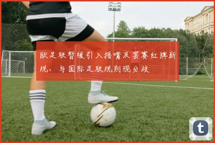 欧足联暂缓引入捂嘴及罢赛红牌新规,与国际足联规则现分歧